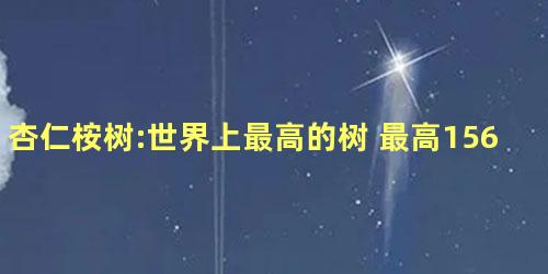 杏仁桉树:世界上最高的树 最高156米相当于50层楼